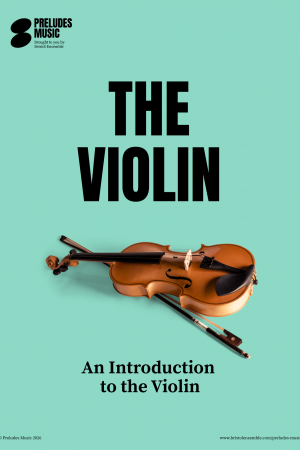 Introduction to The Violin