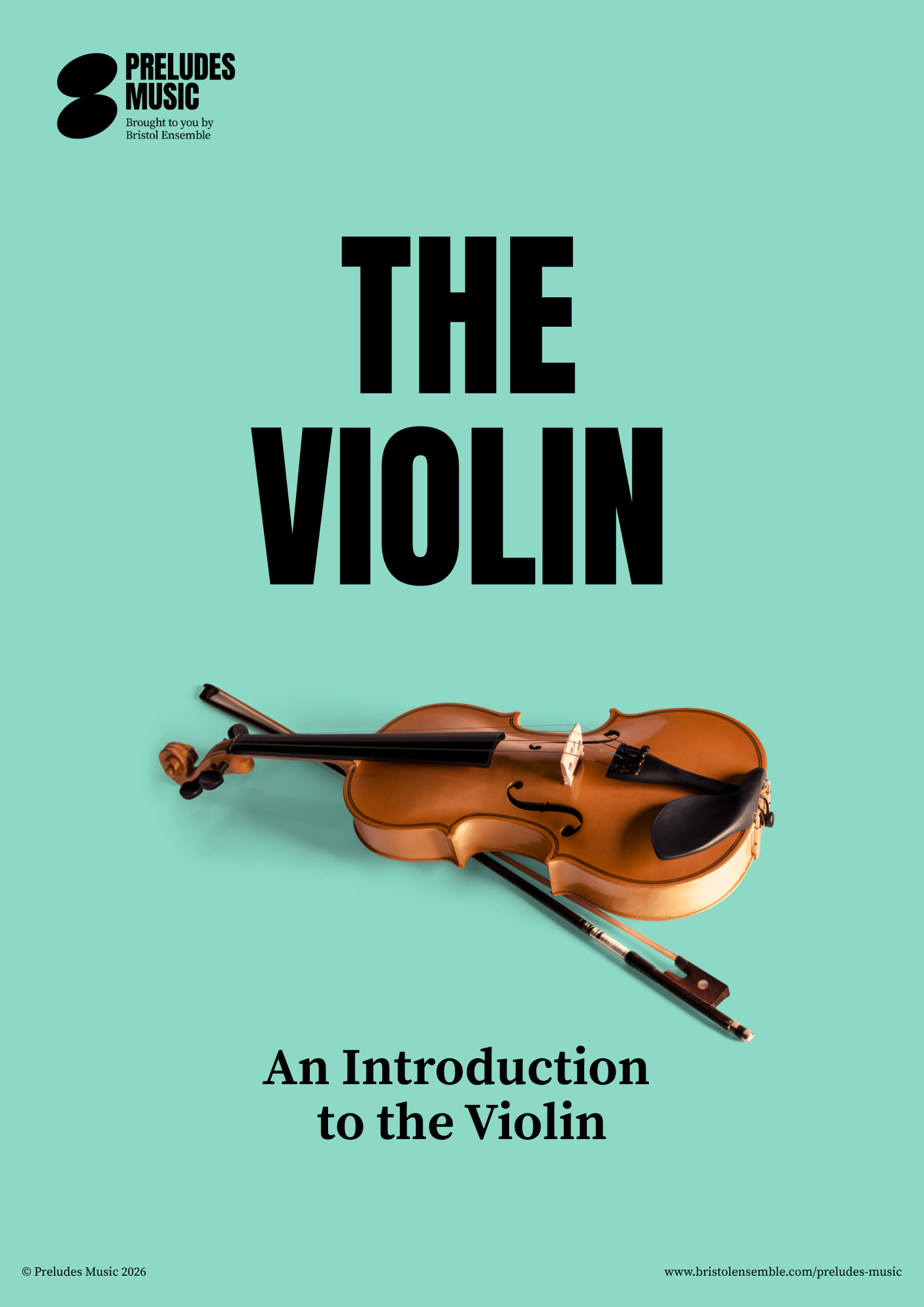 Introduction to The Violin