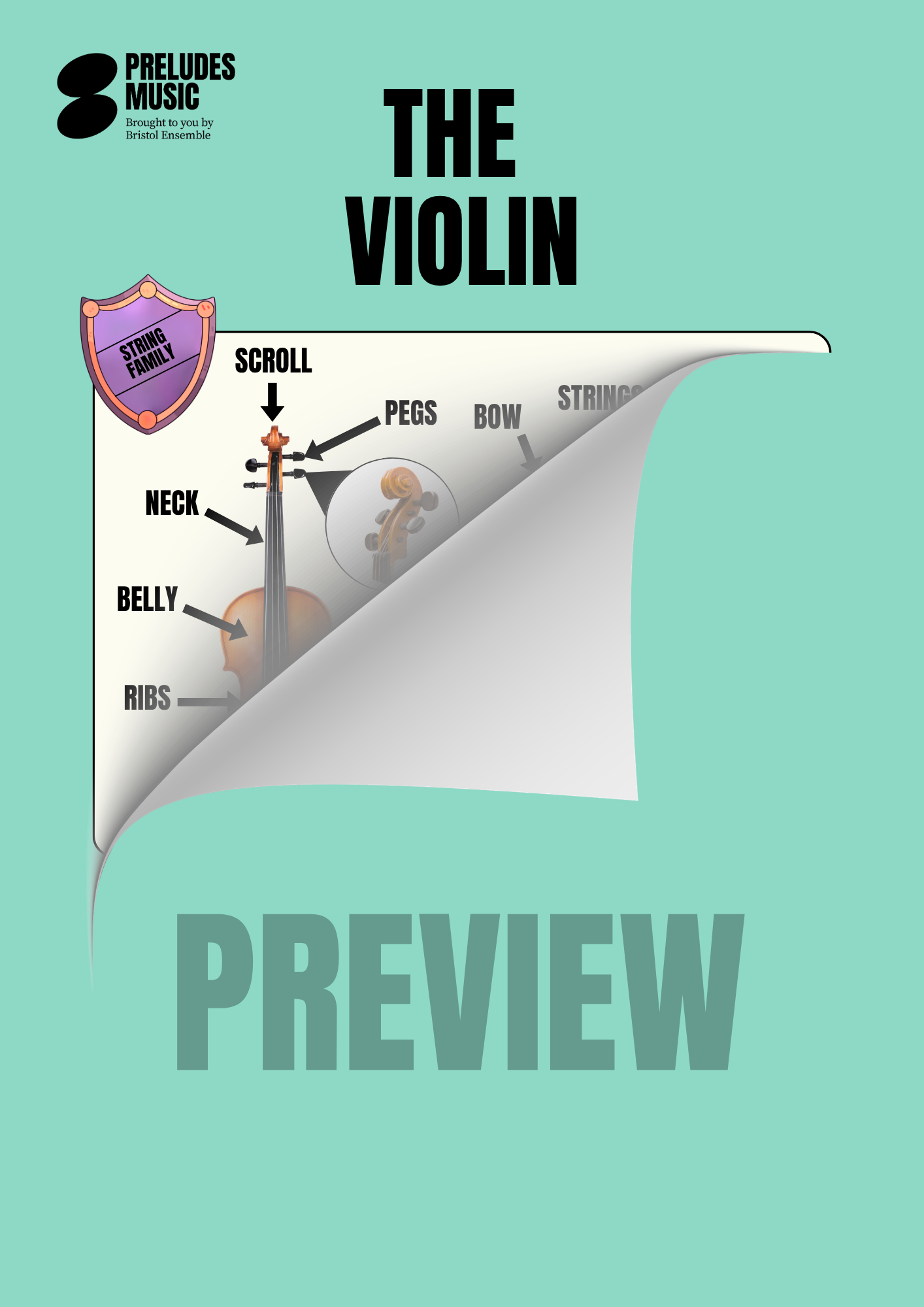 Introduction to The Violin - Image 3